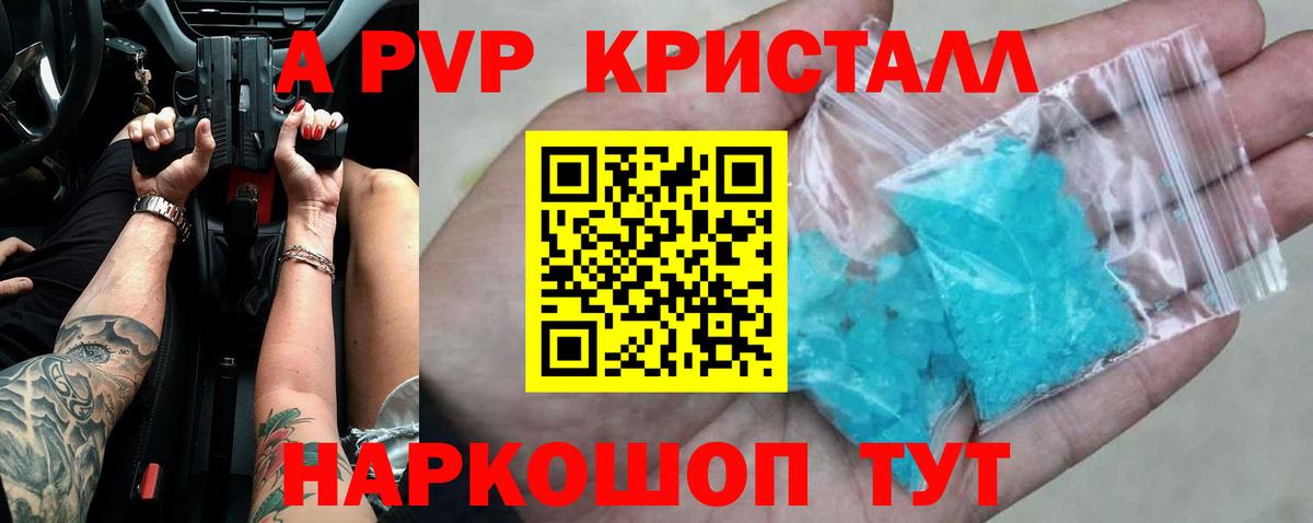 Альфа ПВП СК Кандалакша