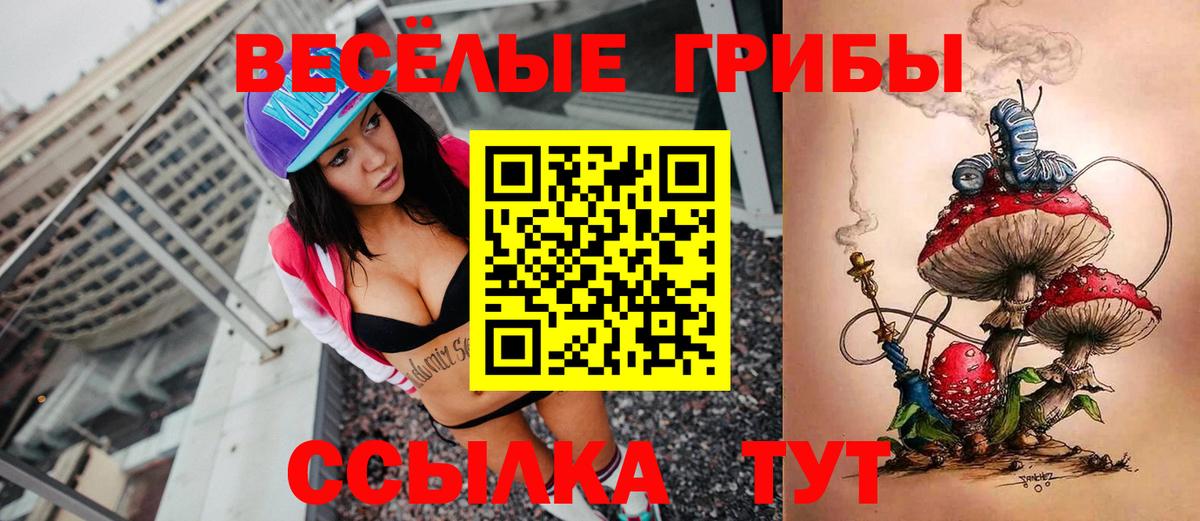 Псилоцибиновые грибы мицелий  Вход с VPN  Галлюциногенные грибы Psilocybe  Кандалакша 